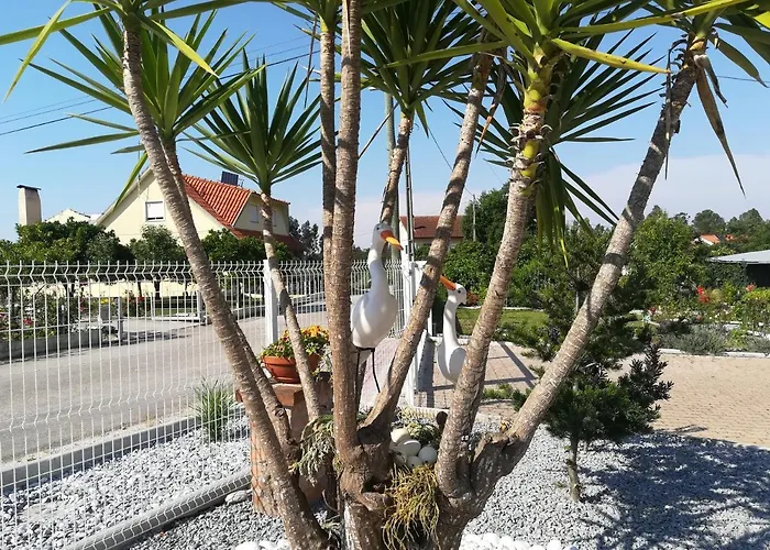 Tatil Evi O Nosso Cantinho *